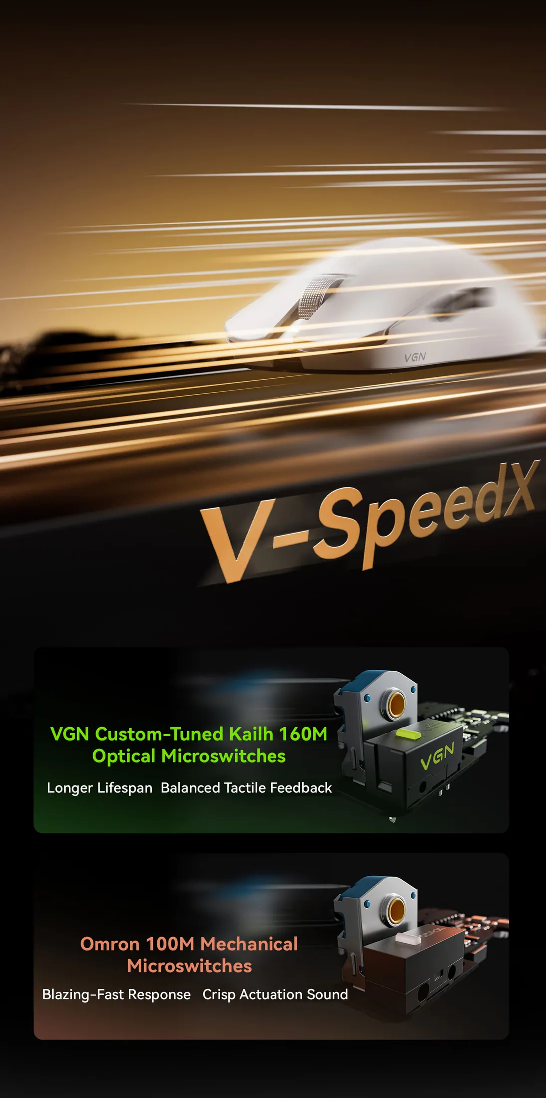 VGN F2 detail 6
